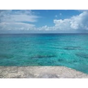 Jessica Kunkel's photo