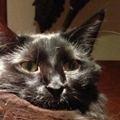 Judith Oliver's photo