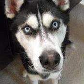 Michelle Hein Brodzik's photo
