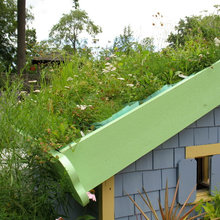 green roof