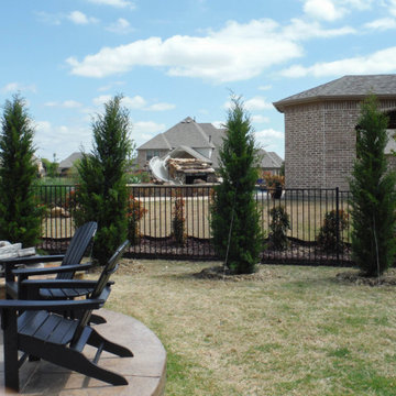 Evergreen Trees & Shrubs
