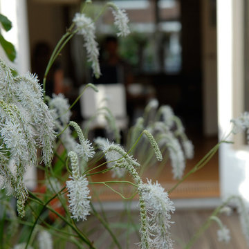 A garden as a room