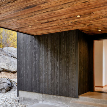 TIGER & MIDNIGHT SPLIT CABIN