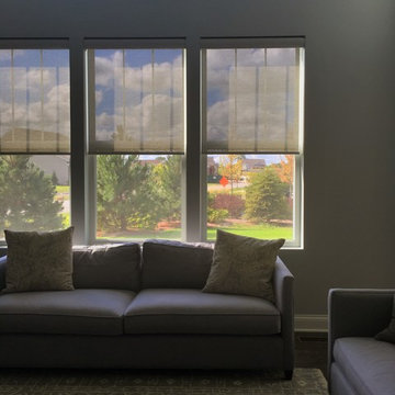 Modern Shades in Living & Bedroom of Hawthorn Woods Home