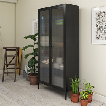 Pemberly Row Modern Tall 2 Door Storage Cabinet in Black Finish