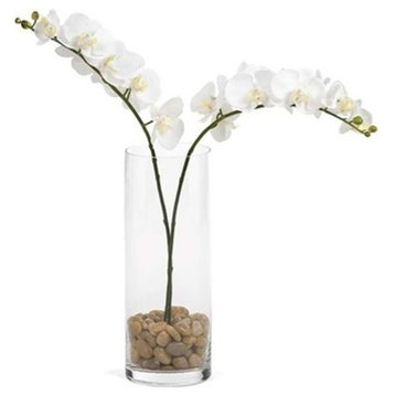 Torre and Tagus Orchid Single Stem 30", White