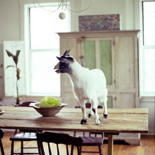 inspiring spaces