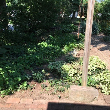In search of the Natural Garden