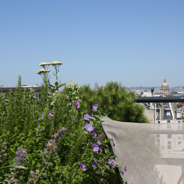 Panorama - Terrasse