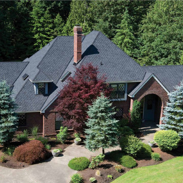Paramount in Antique Black | Signature Cut Asphalt Shingles