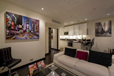 This is an example of a contemporary living room in London.