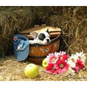 Catherine Farmer's photo