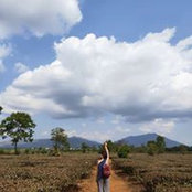 Thu Nguyễn's photo