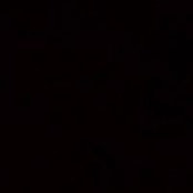 Alessandro Nigro's photo