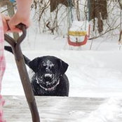Shawn Collier's photo