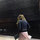 anne_vukicevich