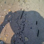 Frances McAuley's photo