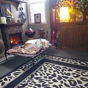 Robin Kidd's photo
