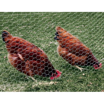YardGard® 308444B Galvanized Poultry Netting, 20-Gauge, 1" Mesh, 60" x 50'