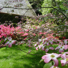 Front Yard Landscape