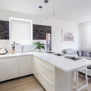 White kitchen with ebony veneer