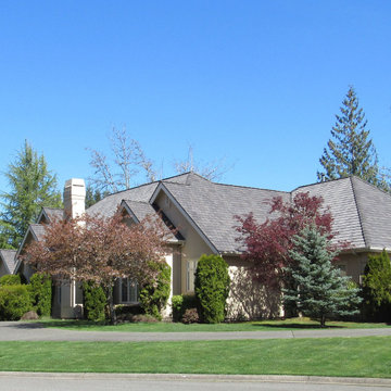 DaVinci Roofing
