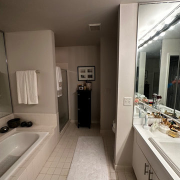 Upcoming Master Bathroom in Farmington Hills
