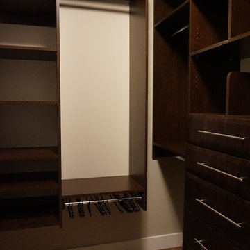 Walk-In Closet with Drawers and Shelf Dividers
