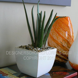 The New Greenery - Products