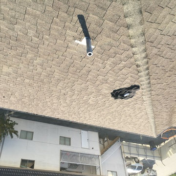 Roof Cleaning