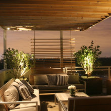 Rooftop Cabana
