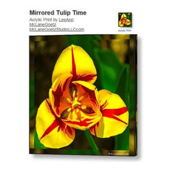 Acrylic Prints - Products