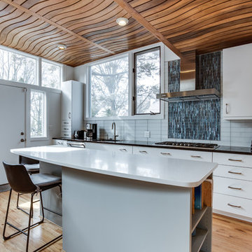 Modern Kitchen Remodel Chevy Chase, MD