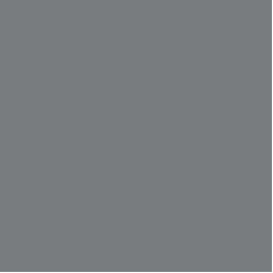 Benjamin Moore Steel Wool 2121-20 - Paint