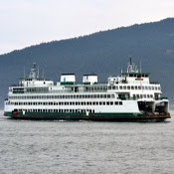 Cathy Olson's photo