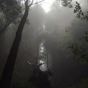 Foto von Ryan Galbraith