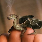 Violeta Georgieva's photo