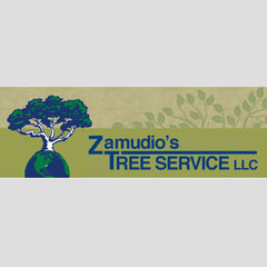 ZAMUDIO'S TREE SERVICE