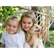 Susie Quilleron's photo