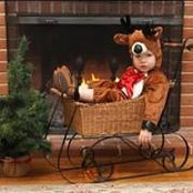Ashleigh Beckett's photo