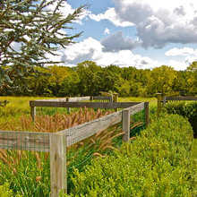 fence