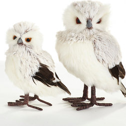 SNOWY OWLS - Products