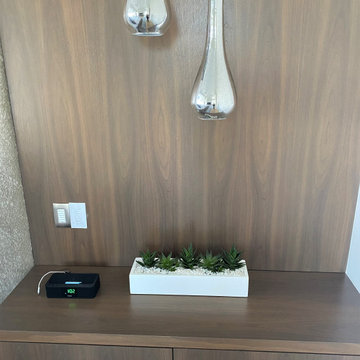 Modern Minimlist plantscape