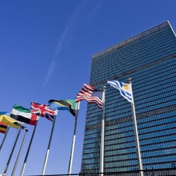 United Nations Soundproof WIndows - Windows