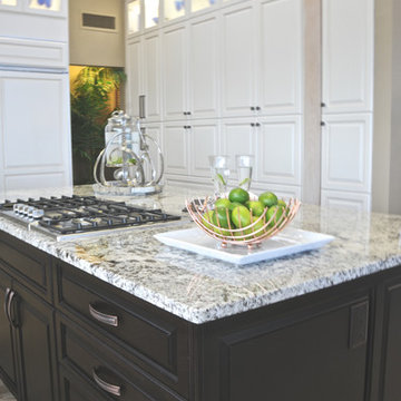 Dunedin Intracoastal Residence