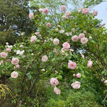 Garden Design