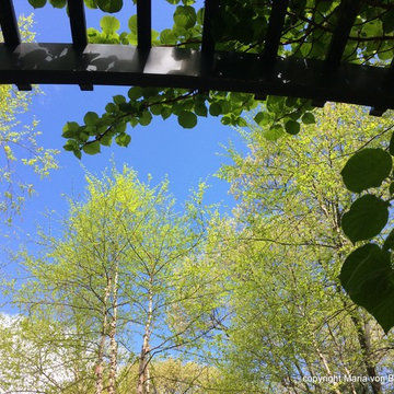 View from the Swing