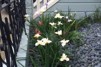 Noe (Mostly) Native Garden