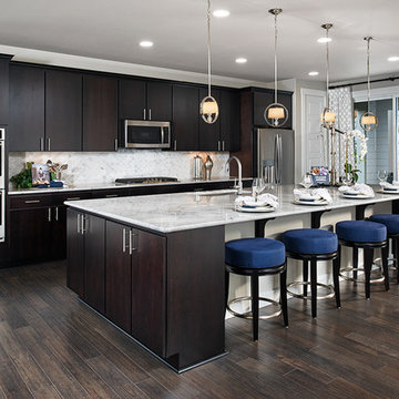 Lincoln model home in Washington