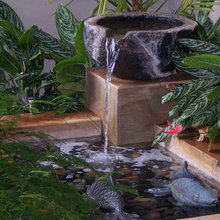 Water Feature